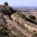 Ffreee_belchite_2012_226